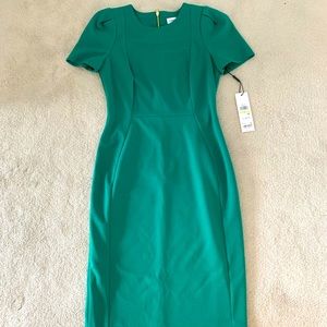 NWT Calvin Klein dress